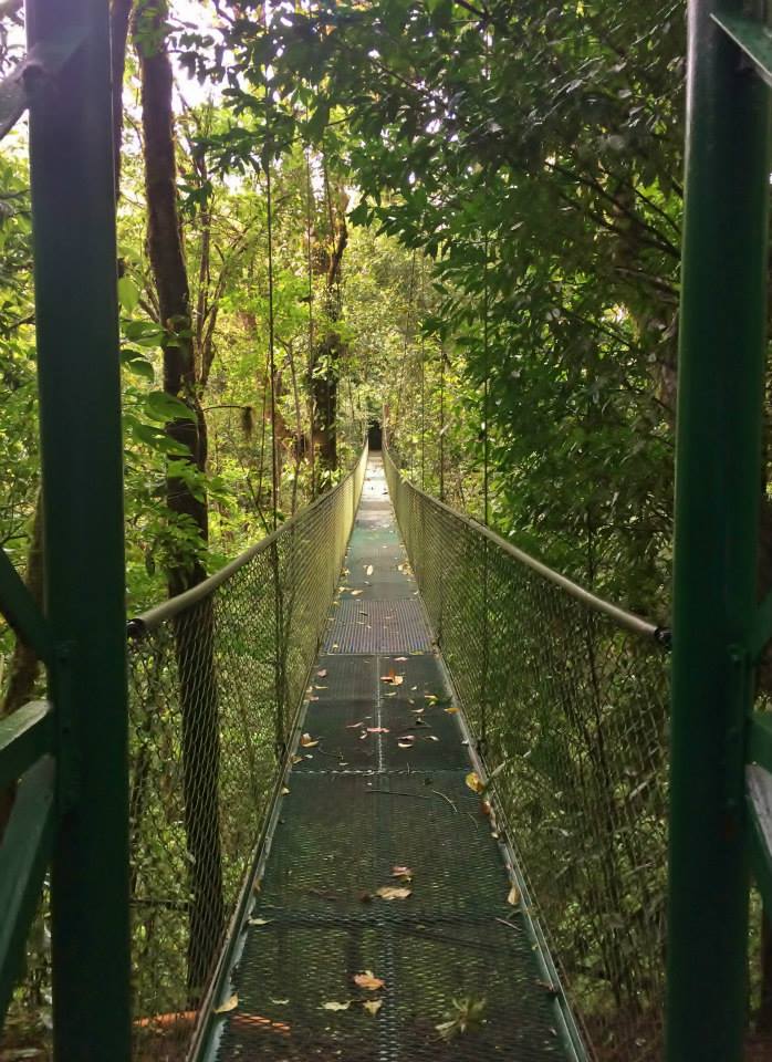 Monteverde Hanging Bridge - Costa Rica
