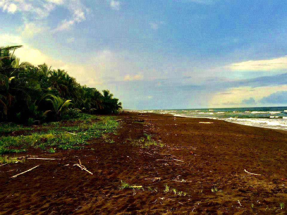 Tortuguero Beach