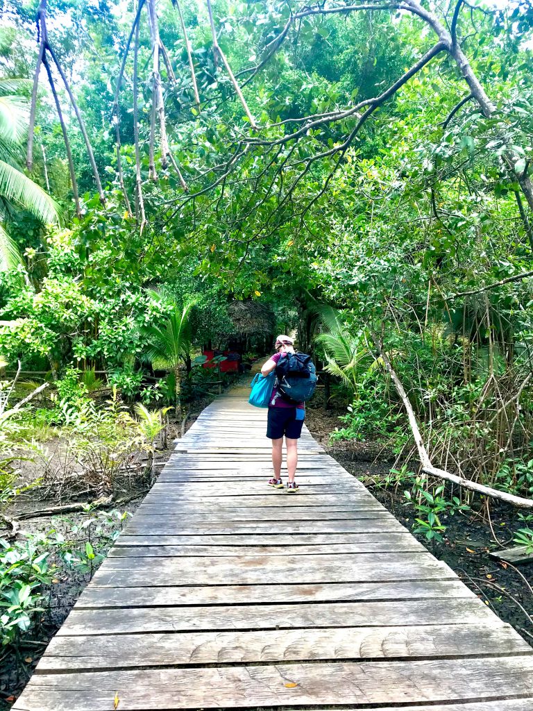 Red Frog Beach - Bocas del Toro