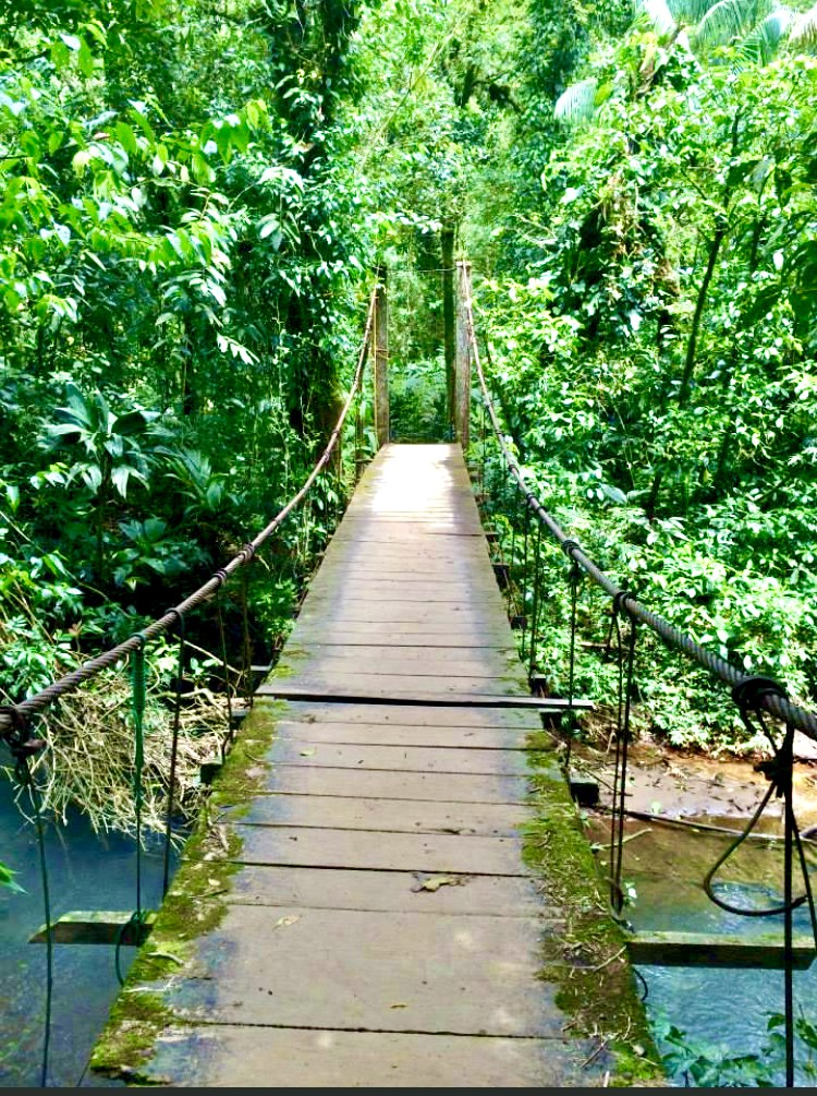 Rio Celeste Bridge