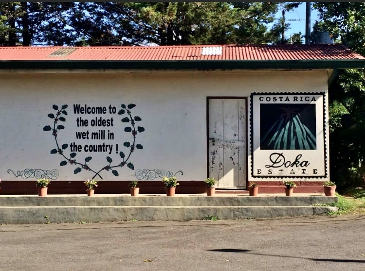Doke Coffee Plantation - San Jose