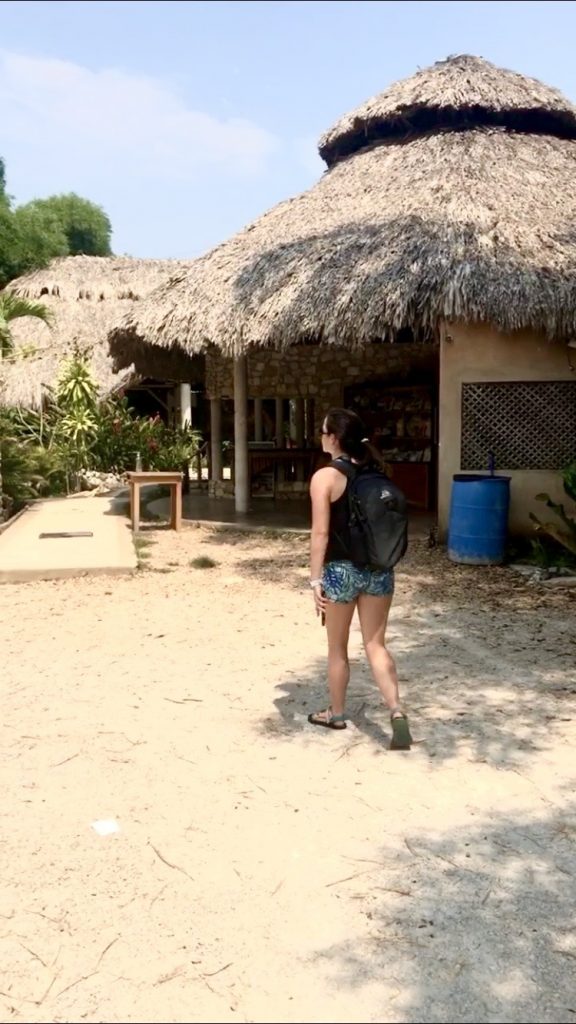 Cost of our nomad living in Puerto Vallarta — Nomad Numbers