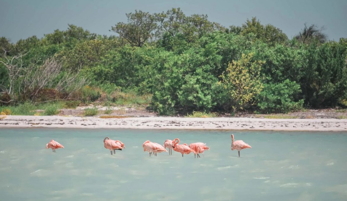 Holbox Mexico