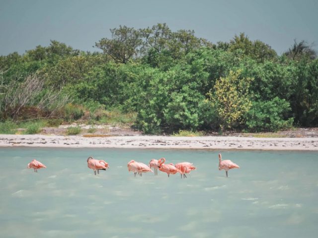 Holbox Mexico