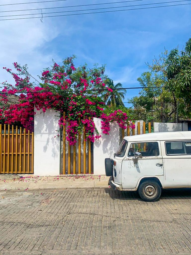 digital nomad living in puerto escondido